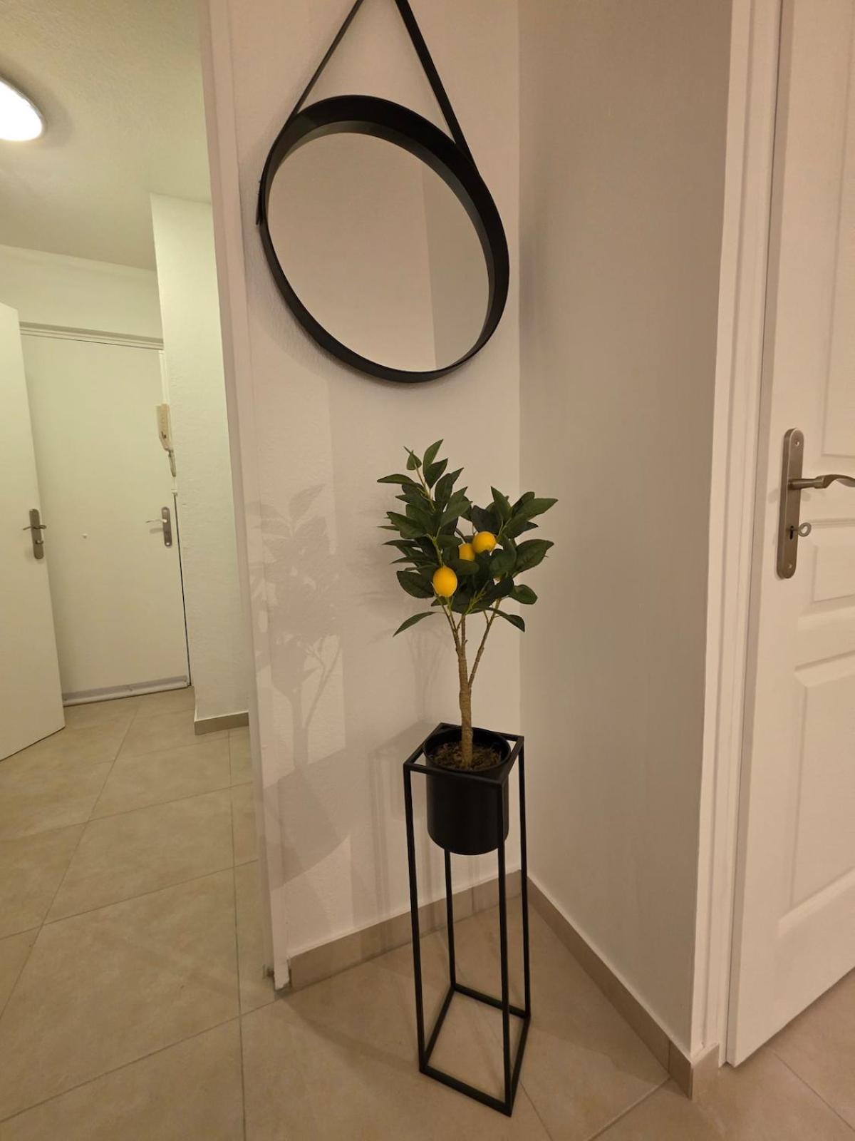 Appartement Renove Proche